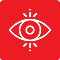 Vision